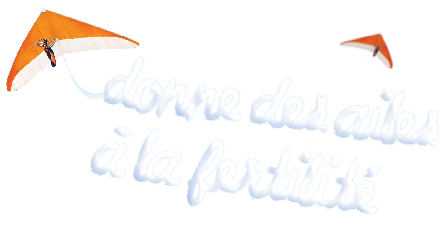 donne les ailes à la fertilité text and two hang gliders